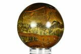 Polished Tiger's Eye Sphere - Top Quality #352433-1